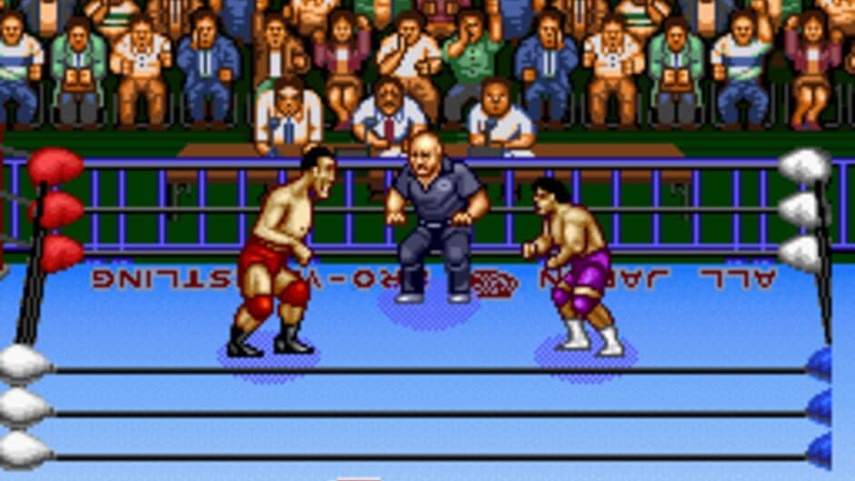 Zen-Nippon Pro Wrestling screenshot 3