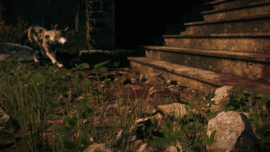 Maid of Sker screenshot 6