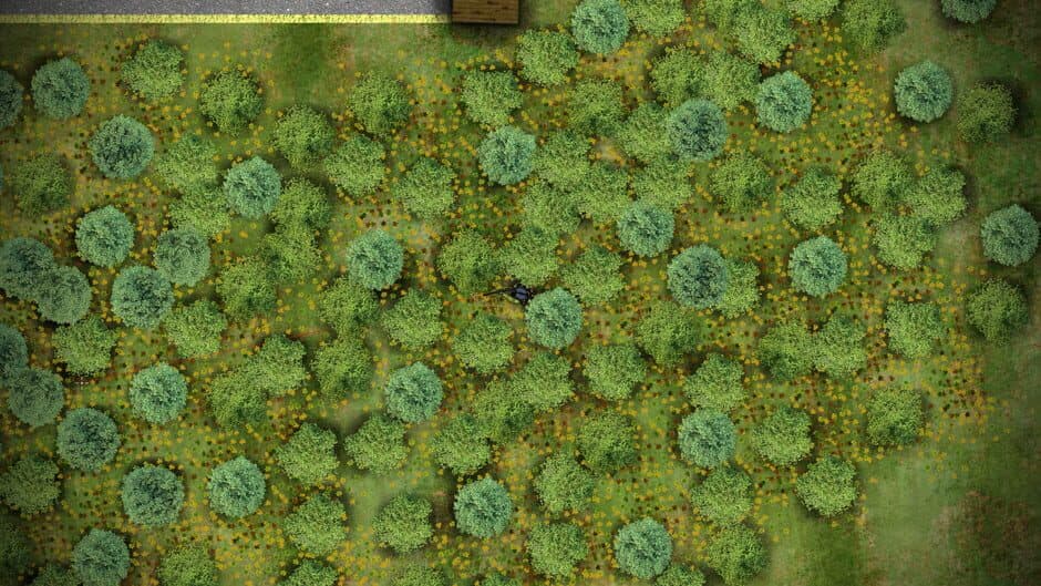 Battlegrounds2D.io screenshot 3
