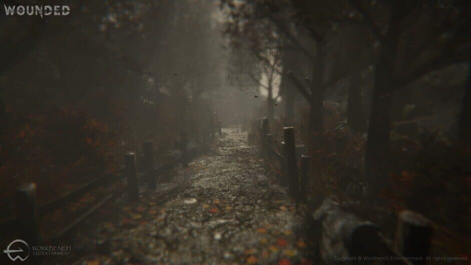 Wounded: The Beginning screenshot 7