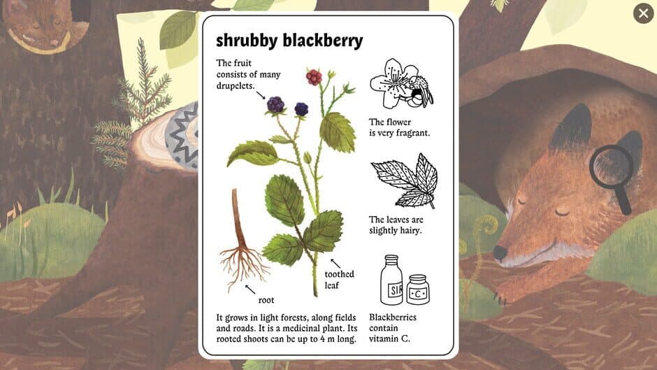 Little Mouse's Encyclopedia screenshot 1