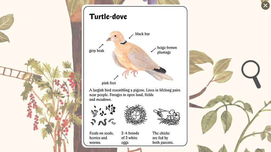 Little Mouse's Encyclopedia screenshot 5