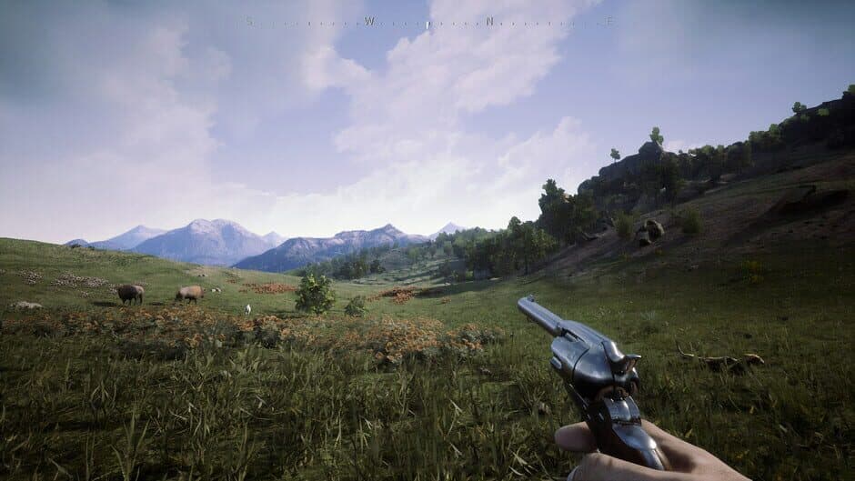 Outlaws of the Old West screenshot 7