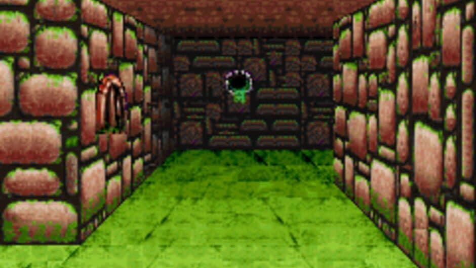Dungeons & Dragons: Eye of the Beholder screenshot 2