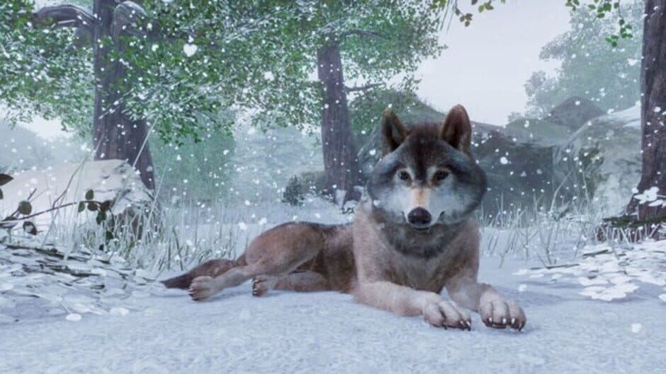 Planet Zoo screenshot 8