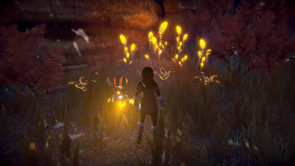 Seed of Life screenshot 9