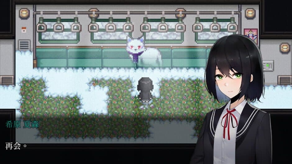 Tales of the Black Forest screenshot 5