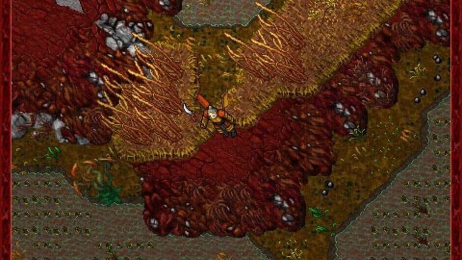 Tibia screenshot 6