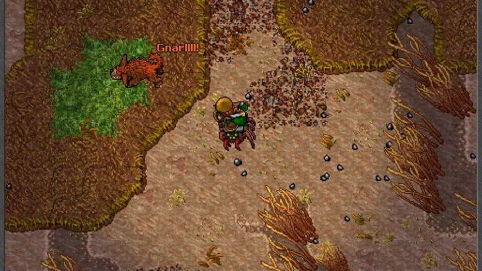 Tibia screenshot 8