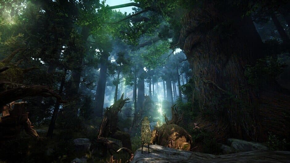 Black Desert screenshot 3