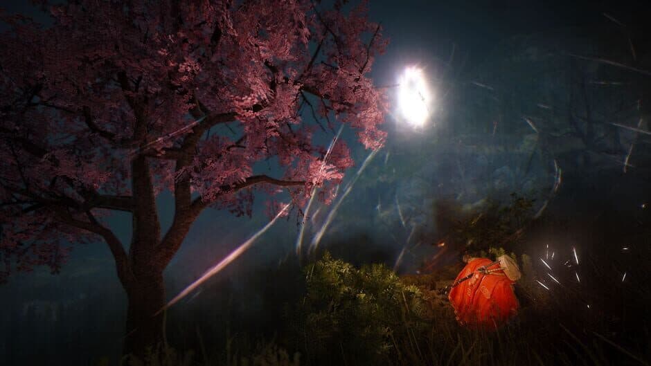Black Desert screenshot 4