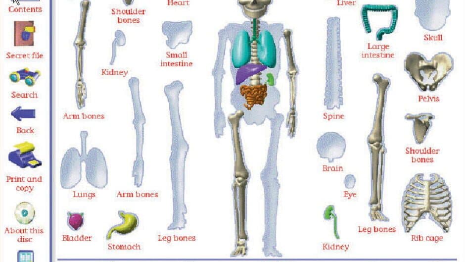 My Amazing Human Body screenshot 4