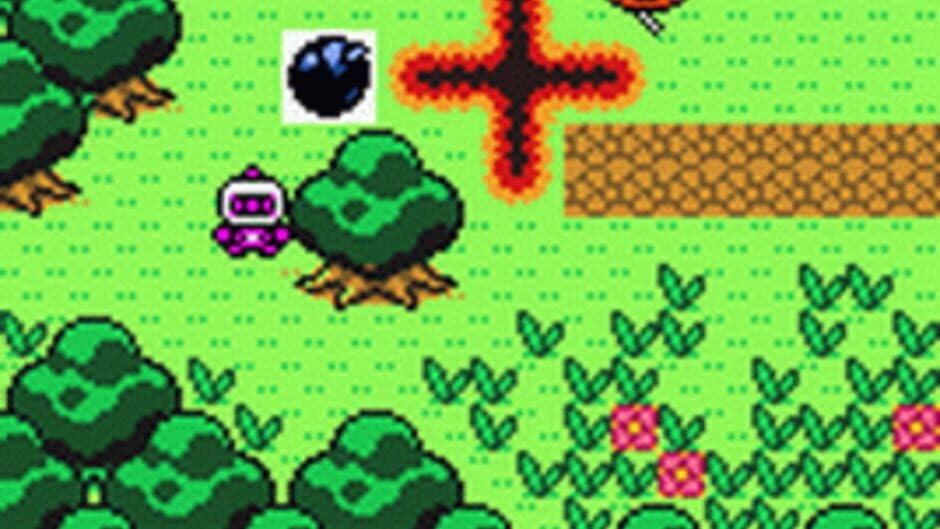 Bomberman Quest screenshot 3