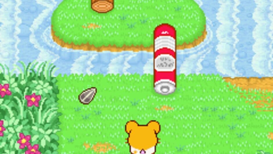 Hamtaro: Ham-Ham Heartbreak screenshot 7