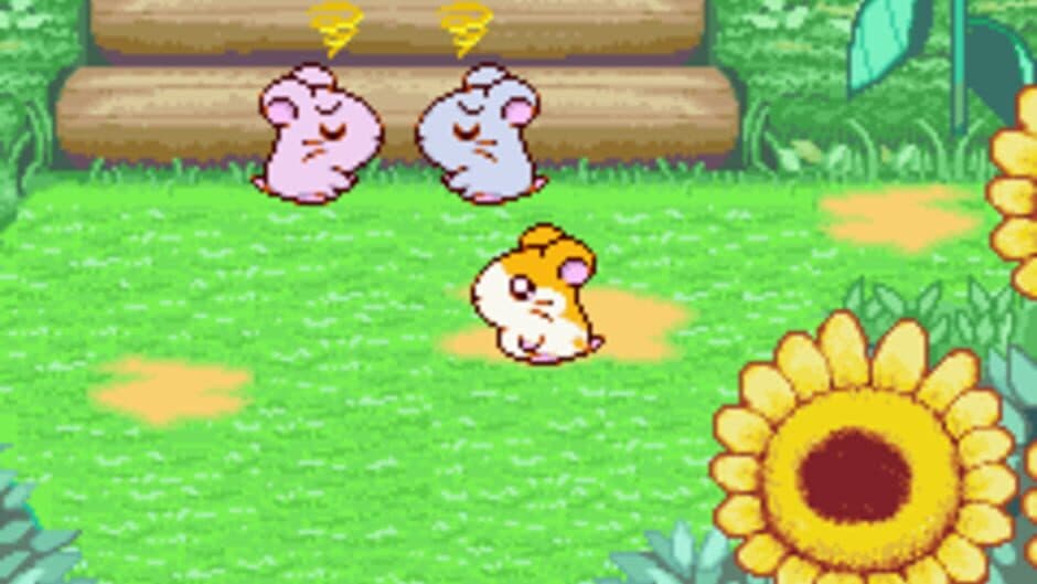Hamtaro: Ham-Ham Heartbreak screenshot 8