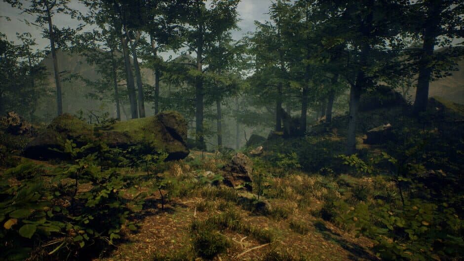 Folklore Hunter screenshot 8