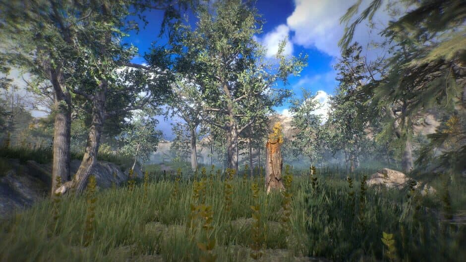 Position screenshot 3