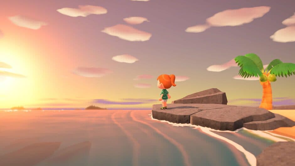 Animal Crossing: New Horizons screenshot 9