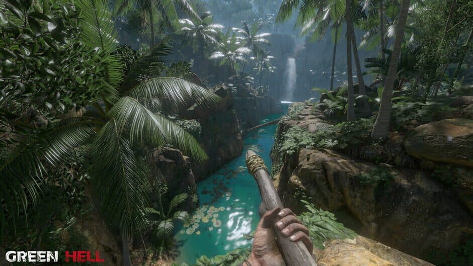 Green Hell screenshot 9