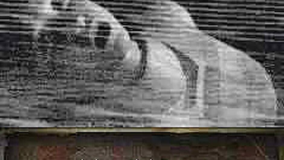 Silent Hill: Mobile DX screenshot 1