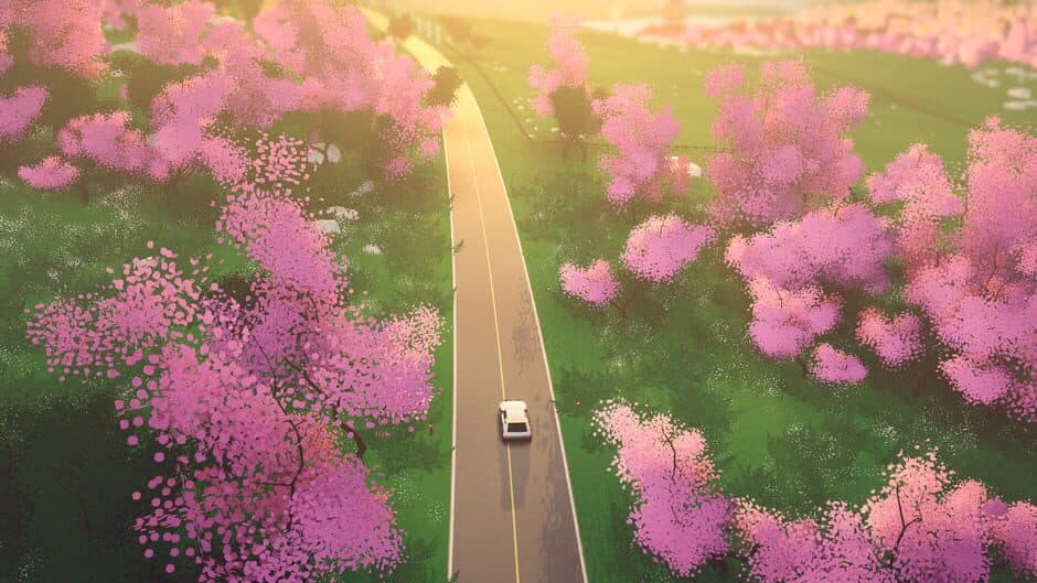 Art of Rally screenshot 7