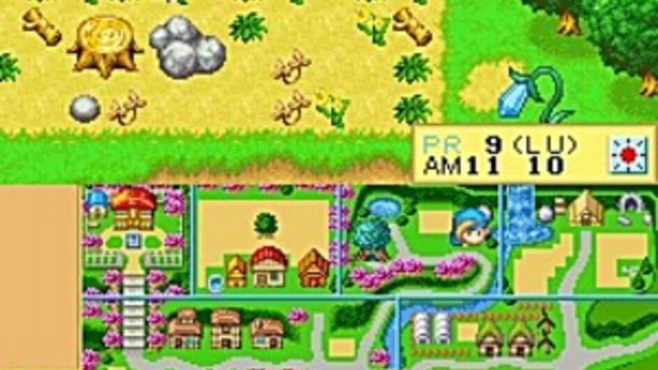 Harvest Moon DS screenshot 2
