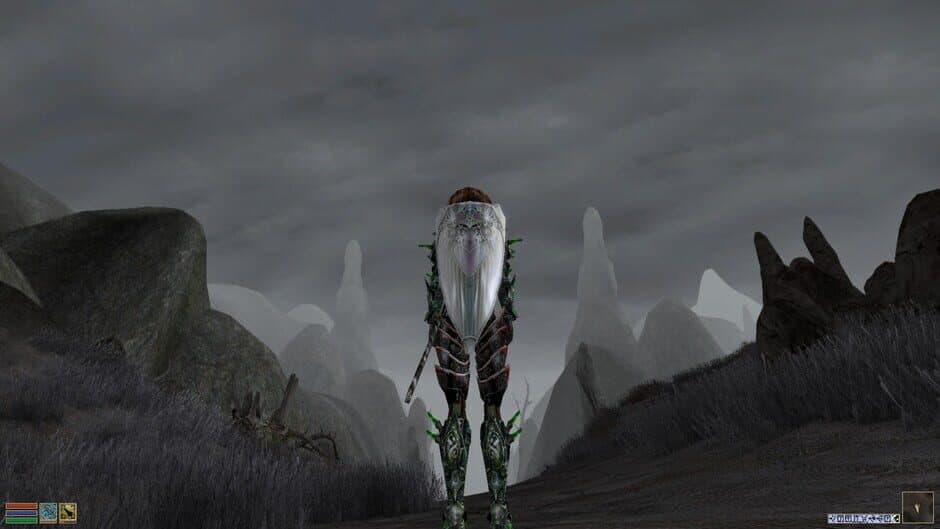 The Elder Scrolls III: Morrowind screenshot 9