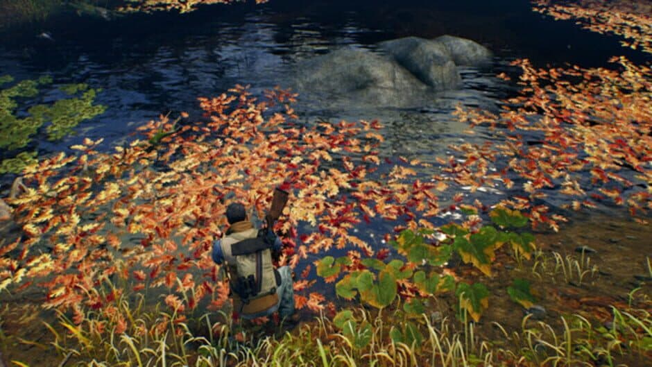 Open Country screenshot 8