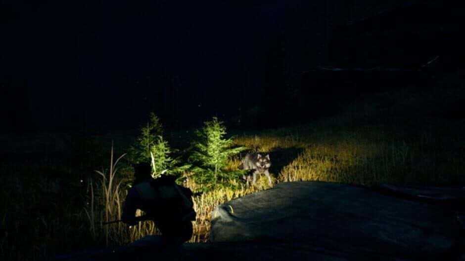 Open Country screenshot 3