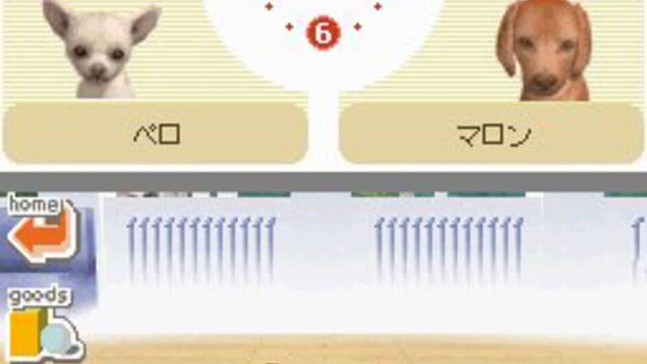 Nintendogs: Dachshund & Friends screenshot 1