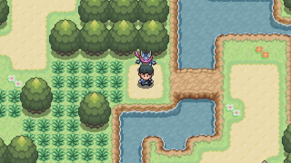 Pokémon Steam screenshot 2
