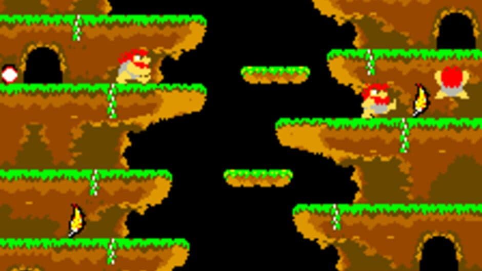 Roc 'N Rope screenshot 3