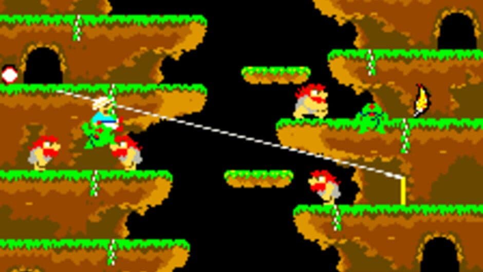Roc 'N Rope screenshot 2