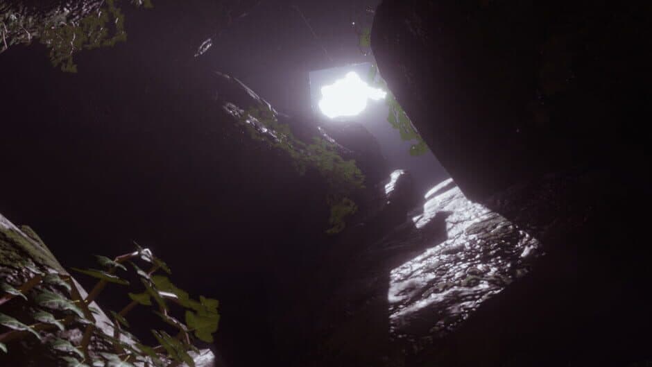 Grave of the Petrified screenshot 5