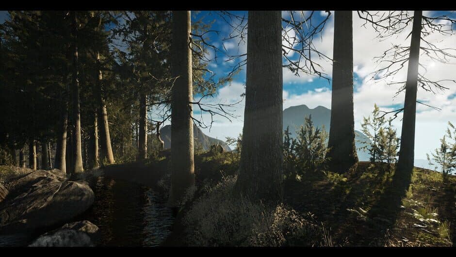 Princess & Blade screenshot 7