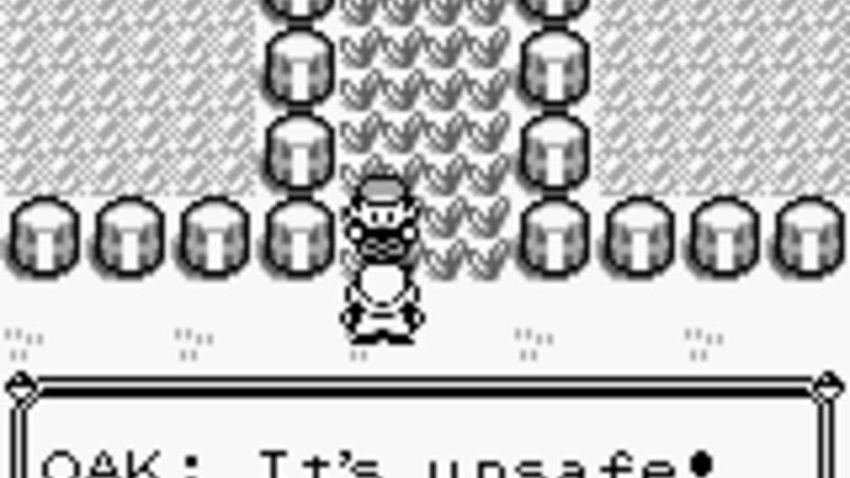 Pokémon Red Version screenshot 4