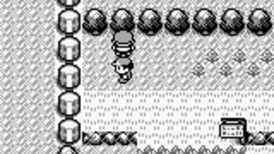 Pokémon Red Version screenshot 3