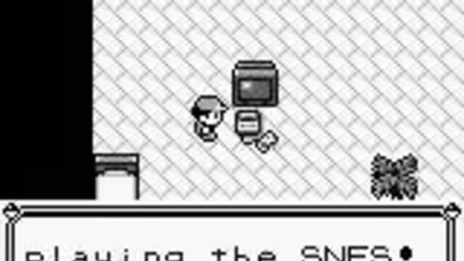 Pokémon Blue Version screenshot 3