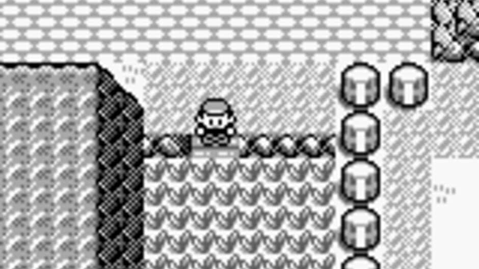 Pokémon Blue Version screenshot 1