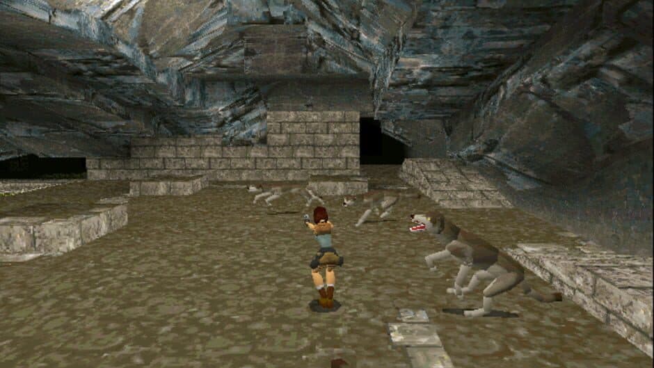 Tomb Raider screenshot 3