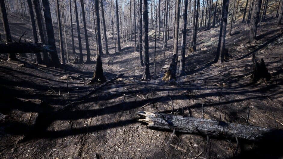 Medieval Apocalypse screenshot 9
