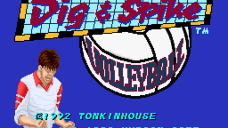 Dig & Spike Volleyball screenshot 1