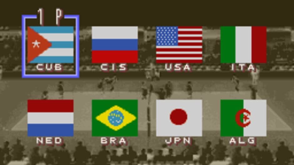 Dig & Spike Volleyball screenshot 9