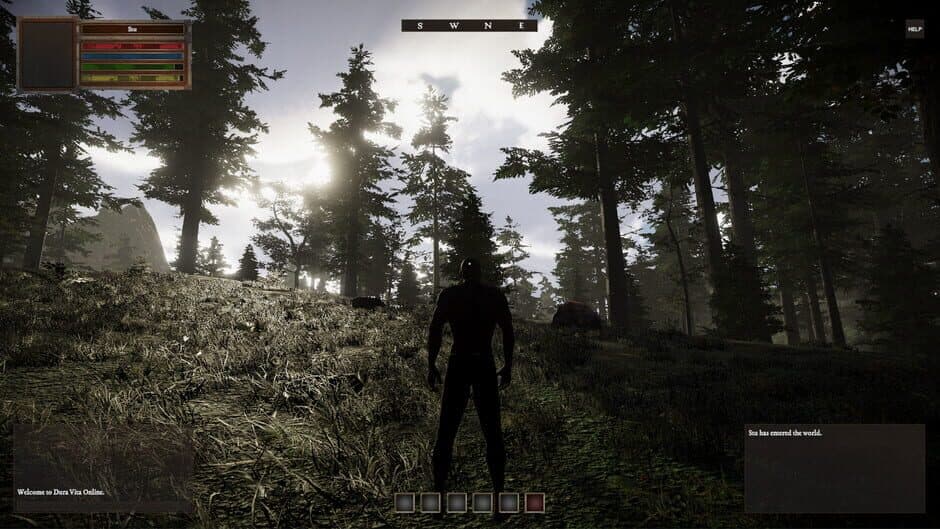 Dura Vita Online screenshot 6