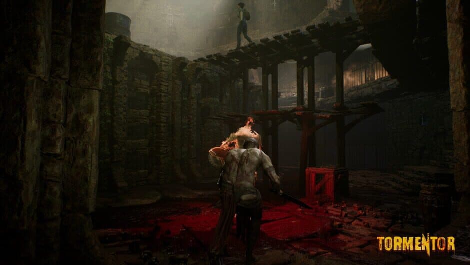 Tormentor screenshot 5