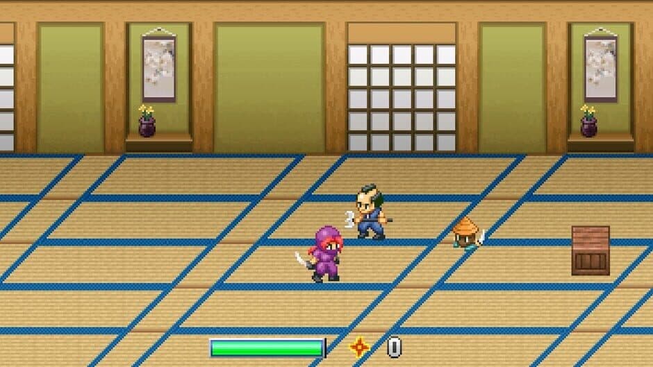 Ninja Kunoichi screenshot 3