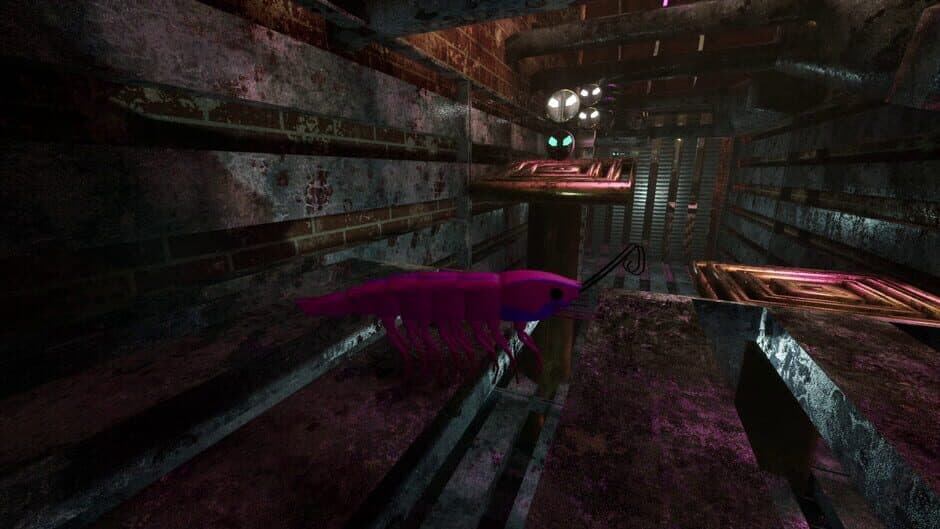 Shrimp screenshot 5