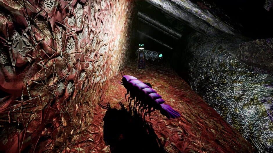 Shrimp screenshot 7