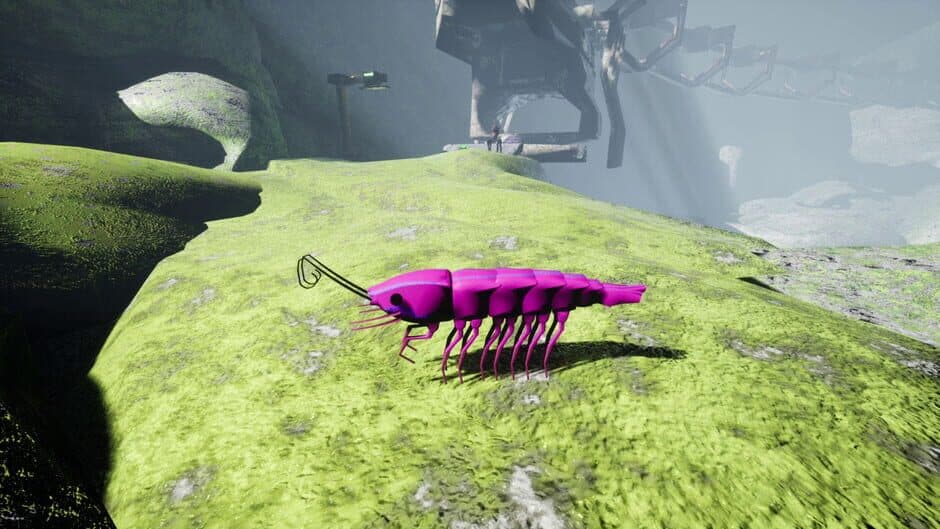 Shrimp screenshot 8