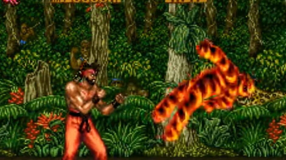 Fighter's History 2 screenshot 5